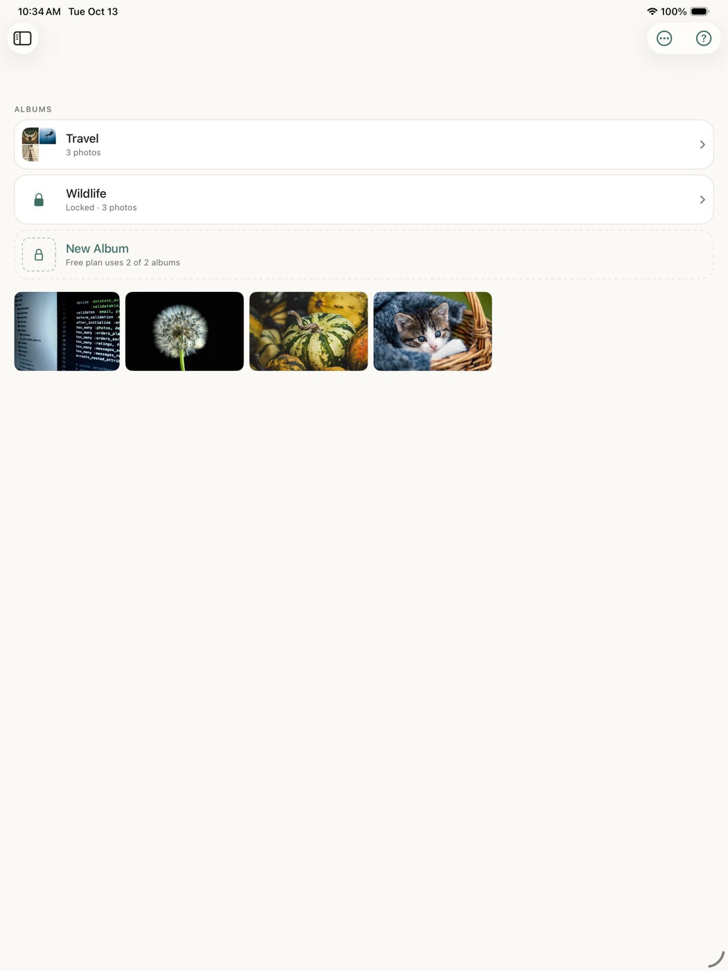 The Library on an iPad, with the albums in a sidebar beside the photo grid.
