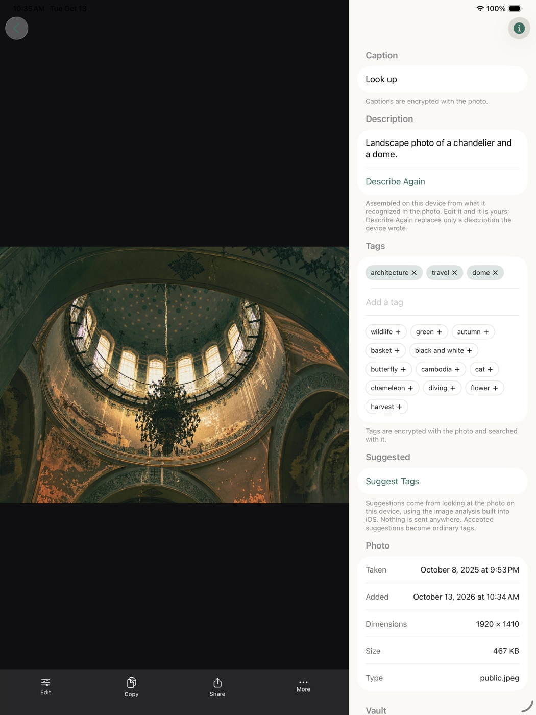 A photo on an iPad with its Info column beside it: caption, description, tags, and details.