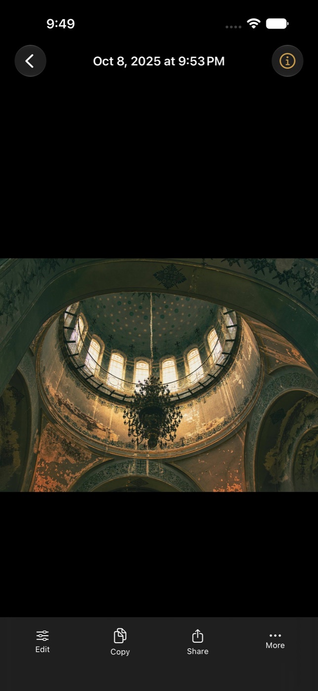 A single photo filling the screen, with Edit, Copy, Share and More beneath it.