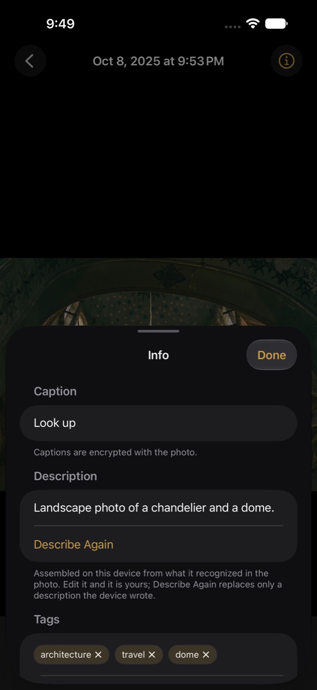 The Info sheet for a photo, showing its description, tags, and suggested tags.